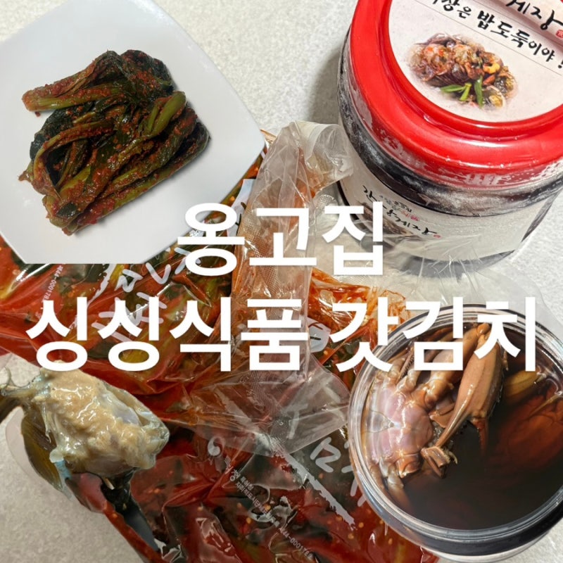 여수 갓김치 포장맛집 l 옹고집싱싱식품 김치담그는청년 돌게장 후기