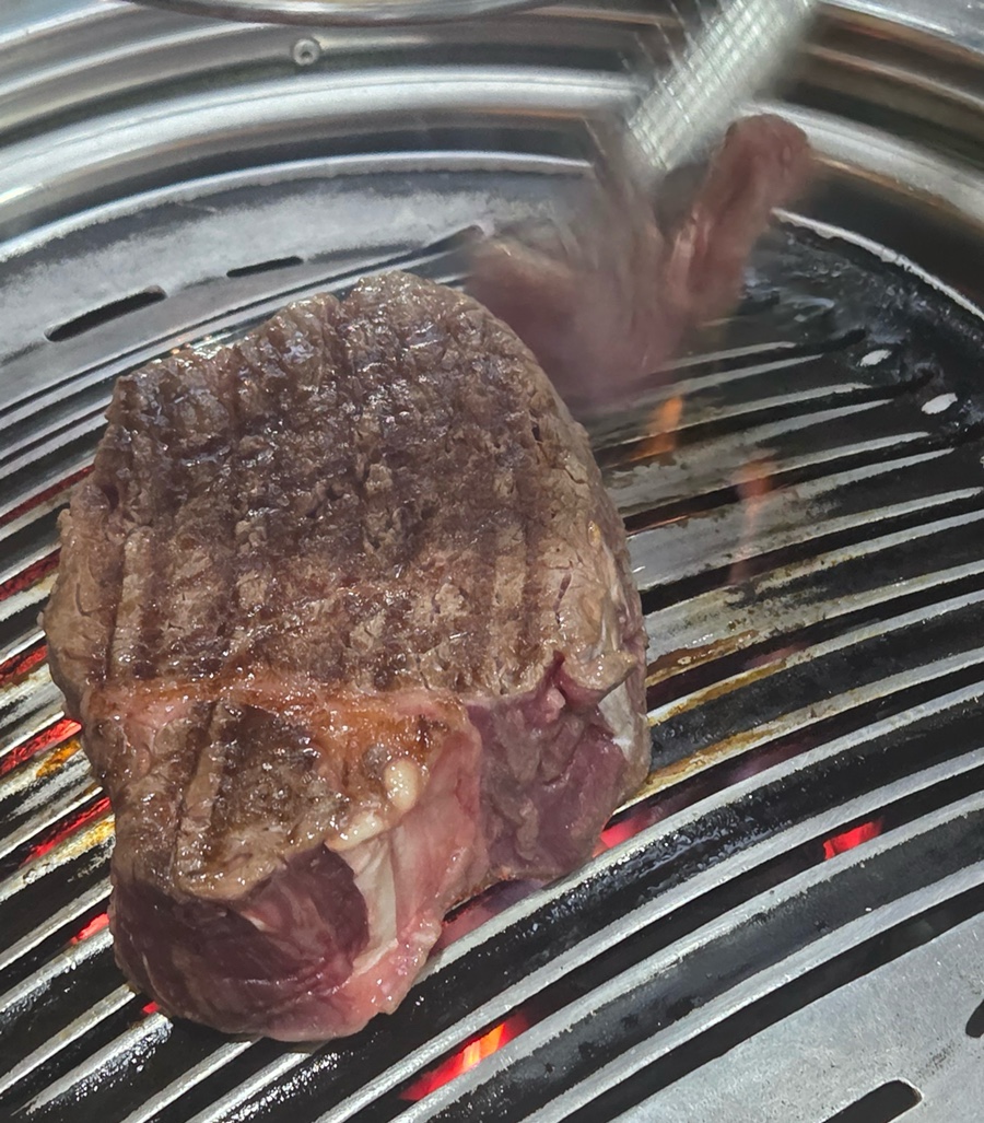 신씨고집 사진 4