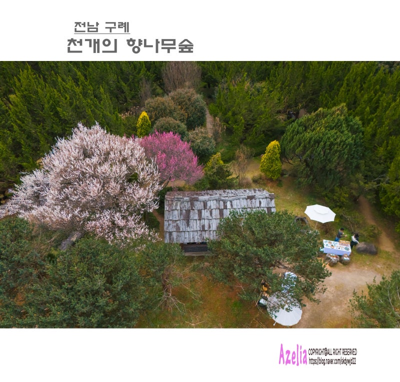 사진 5