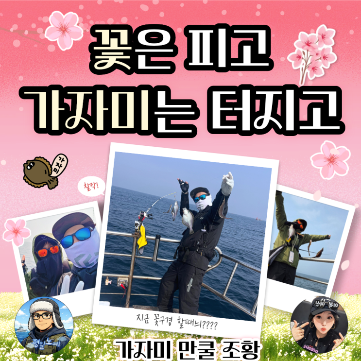  공현진항 안슨장호 가자미 낚시 대박 조황!