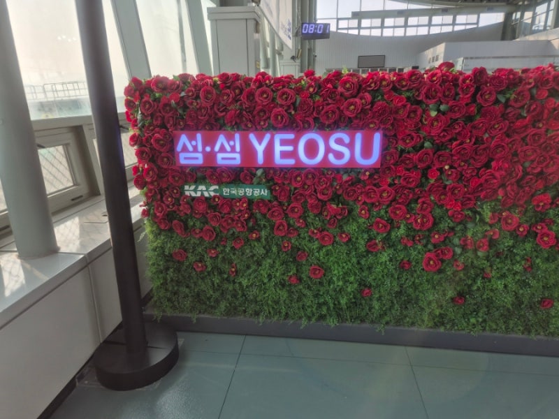 사진 8