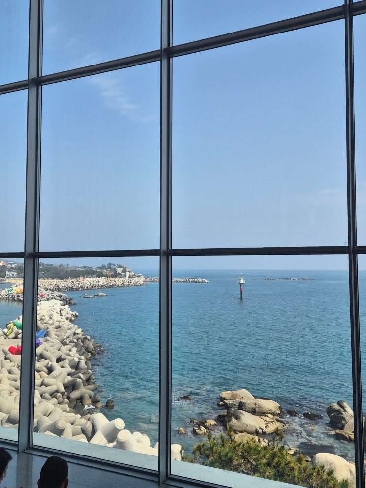  [울산 근본 카페]  바다가 상영되는 압도적 시네마뷰! 그릿비 서생점 '근본' 리뷰 