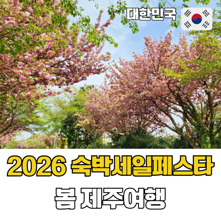  2026 숙박세일 페스타 봄편 제주 벚꽃명소 숙소예약 국내여행 할인 꿀팁