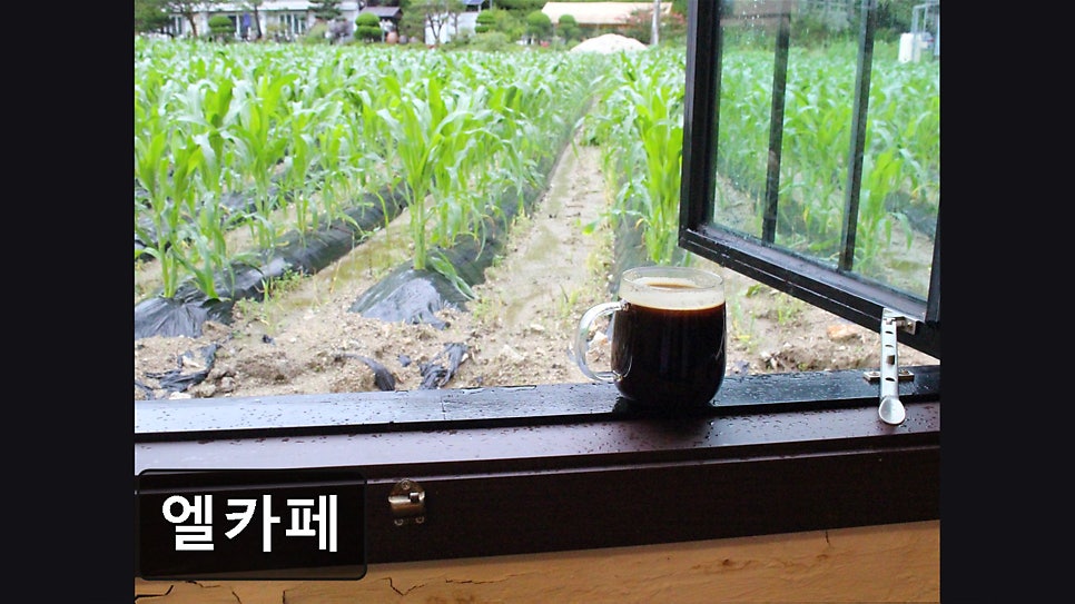 엘카페 사진 3