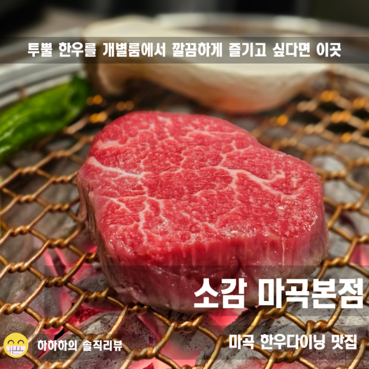  고품격 강서구고깃집 발산역 마곡역 한우 개별룸의 소감 마곡본점