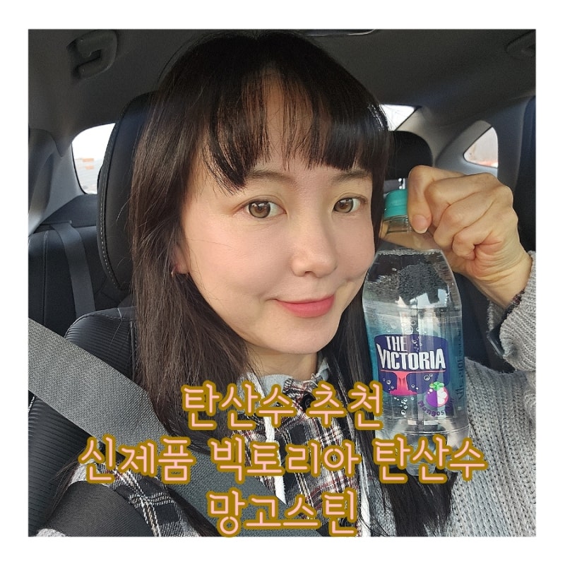 탄산수 추천 신제품 빅토리아 탄산수 망고스틴