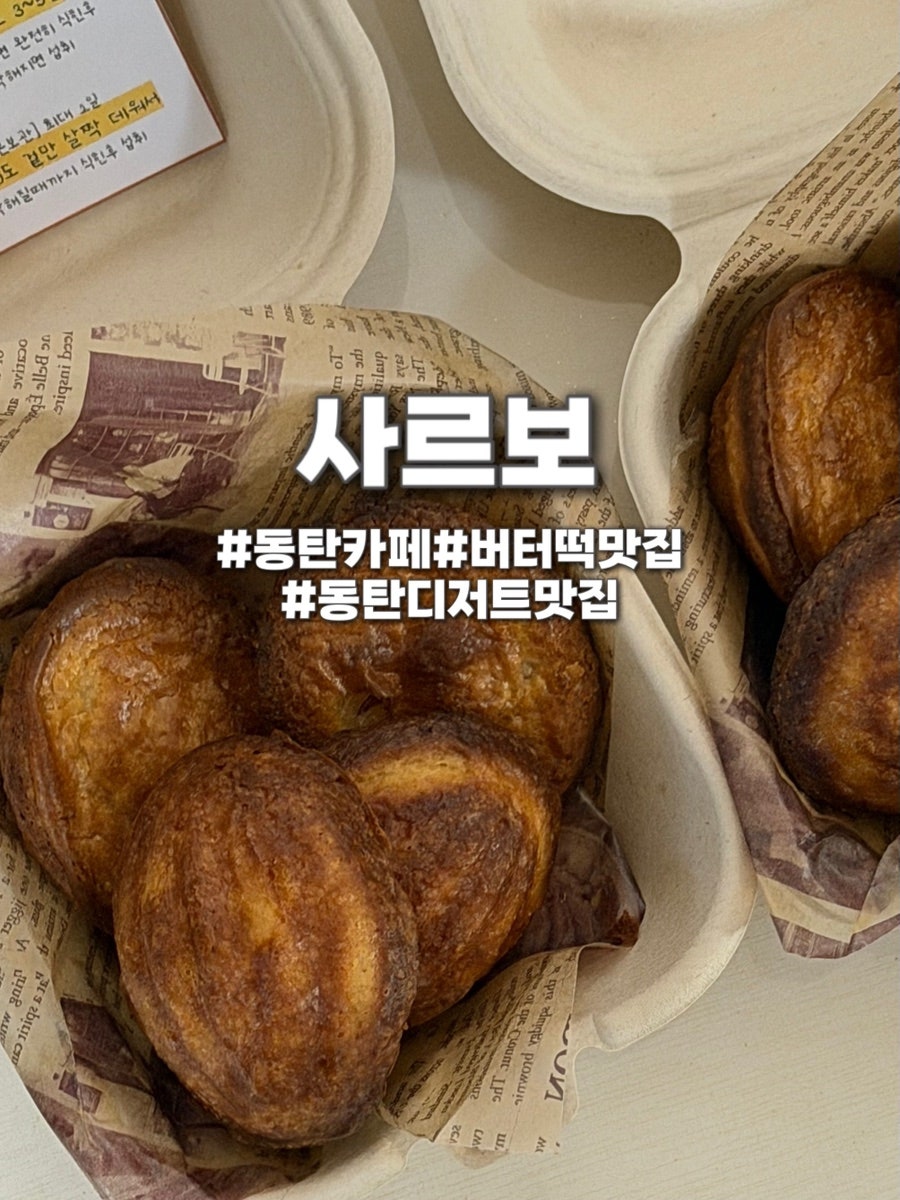 사르보 사진 1
