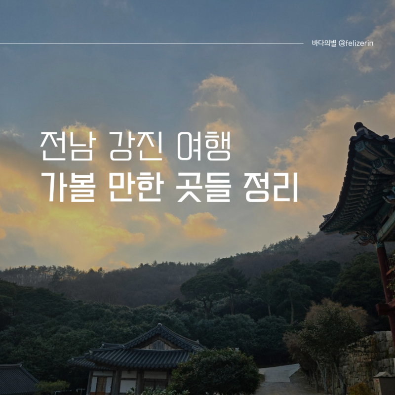 사진 7