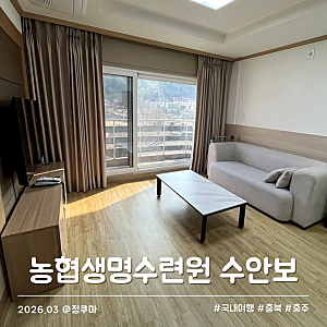 농협생명수련원 수안보 가성비 충주 숙소 추천 20평 부대시설 후기