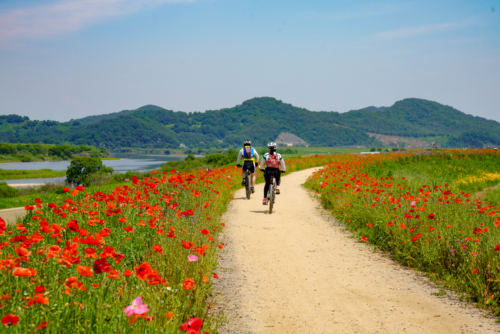 [보험정보] 