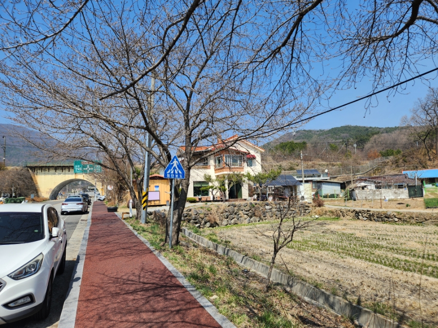 국보추어명가 사진 2