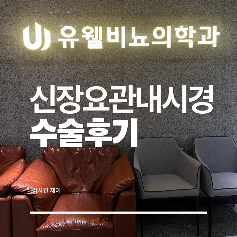 신장요관내시경 결석 제거수술 대전 유웰비뇨의학과 비뇨기과