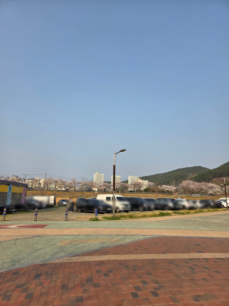 사진 2