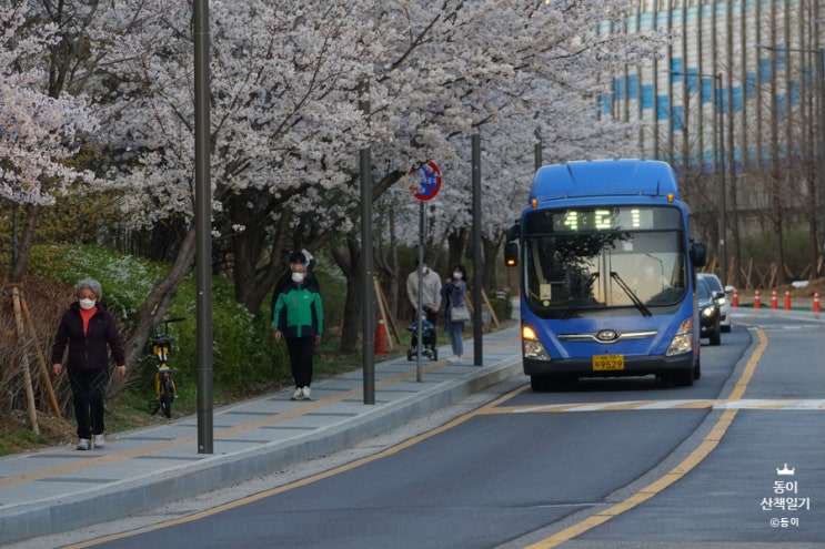  서울의 봄꽃 명소 송파의 남쪽마을 문정동, 장지동