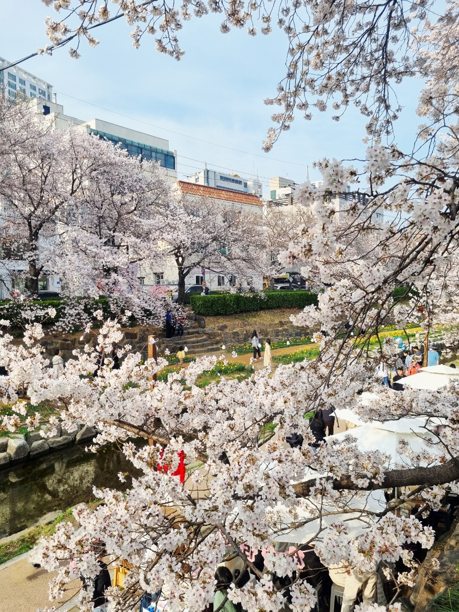 해정왕뽈데기찜 울산삼호점 사진 2