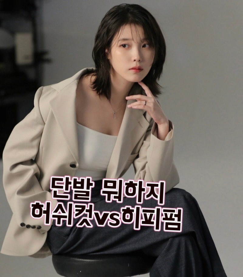아이유 단발허쉬컷 vs 김세정 단발히피펌 단발헤어스타일 고민될 때 정리해봄