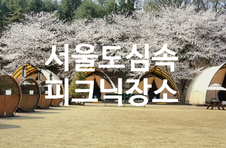  그랜드워커힐 호텔 포레스트파크 서울 도심속 캠핑 피크닉 장소 추천