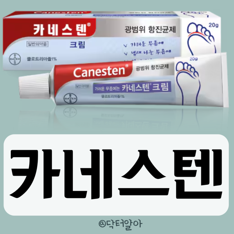 의사가 설명하는 카네스텐연고 효능 성분 부작용 사용법 가격 장점