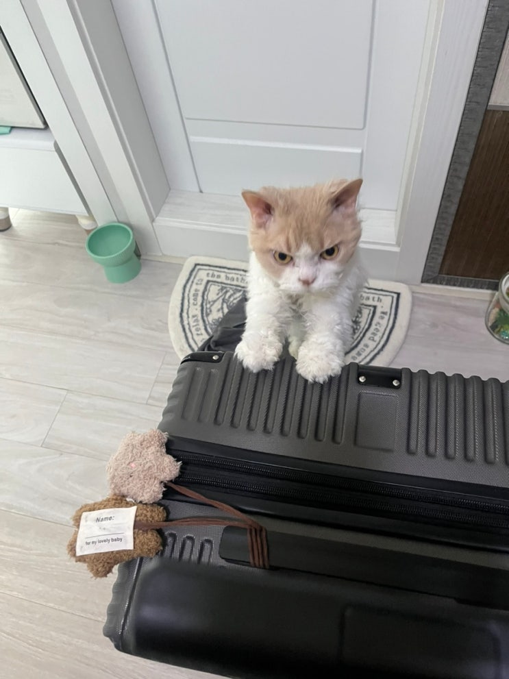  코타키나발루 도착~! 공항 입국심사