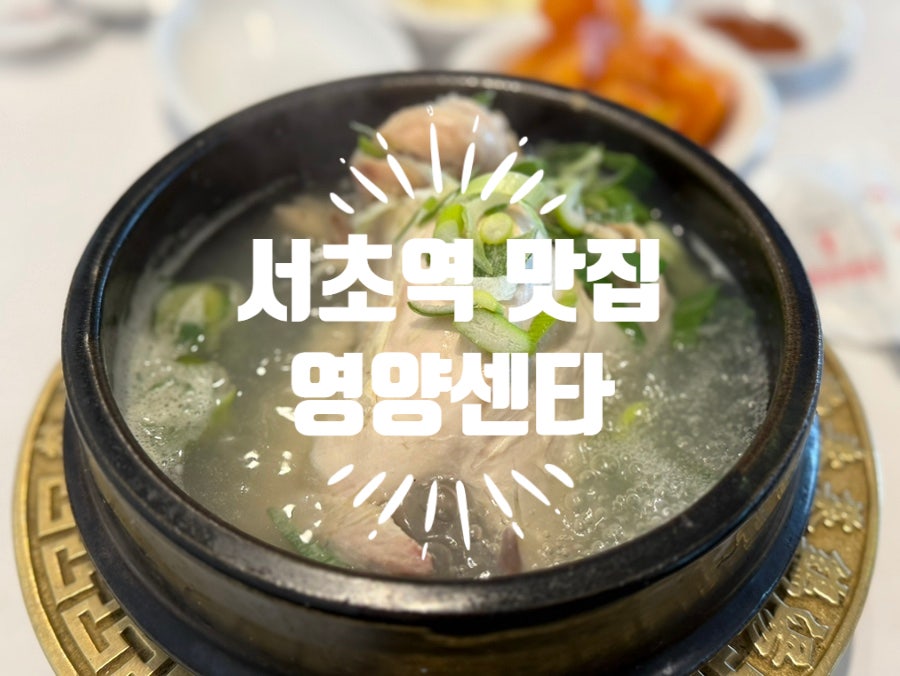 영양센타 서초역점 사진 6