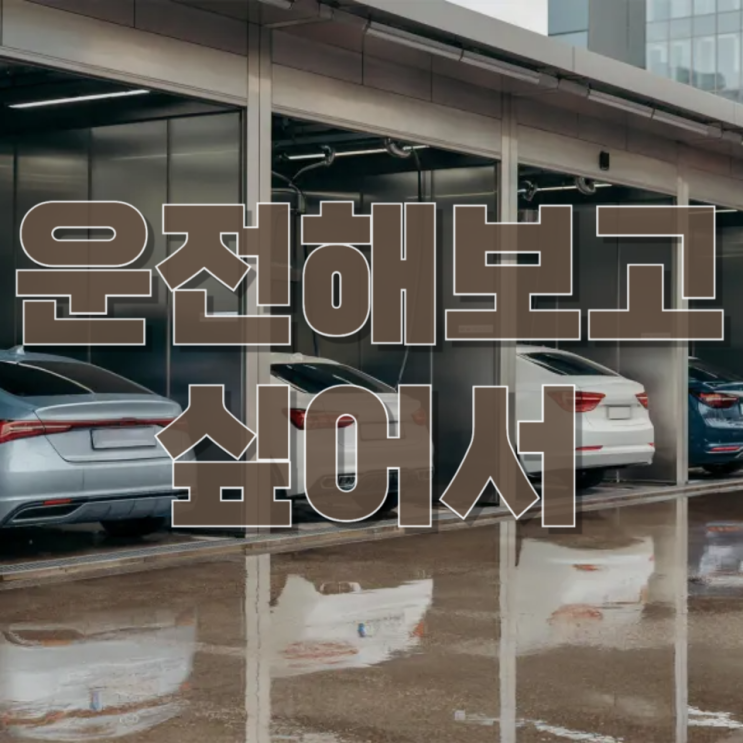  “운전해보고 싶어서”… 안산→인천 차량 절도 질주 사건, 10대 범죄의 위험한 신호