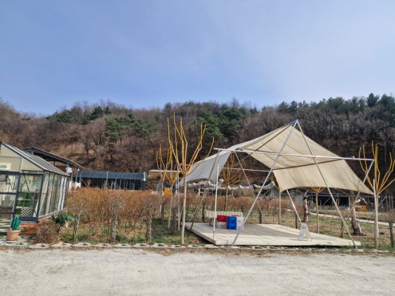 사진 2