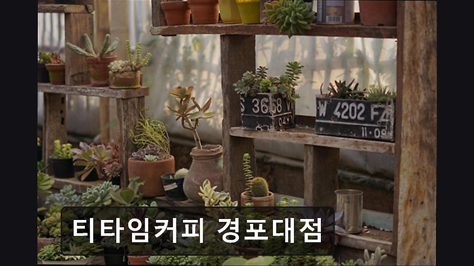 티타임 경포대점 사진 4