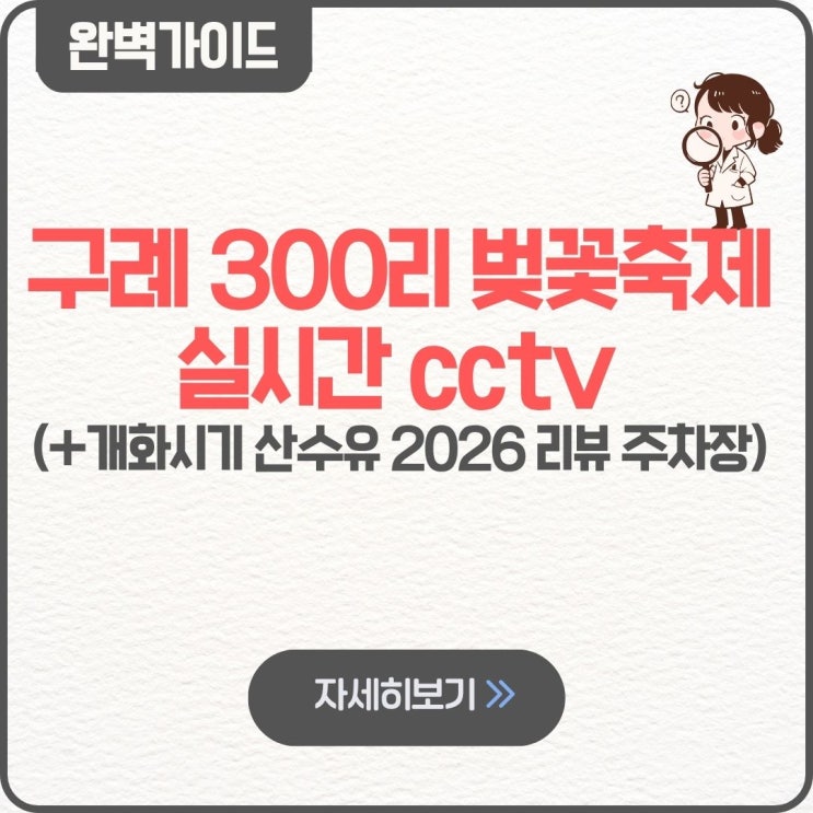  구례 300리 벚꽃축제 실시간 cctv 개화현황 개화시기 산수유 2026 리뷰 주차장