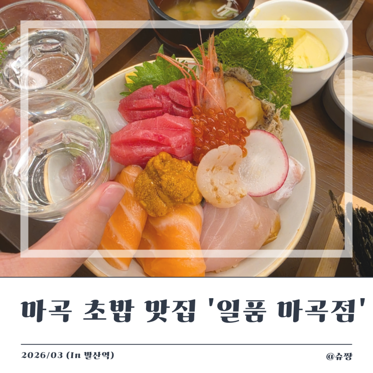  [마곡 맛집 초밥] KBS 방송 맛집 '일품 마곡' 프리미엄 카이센동