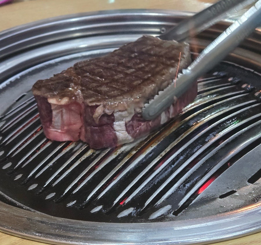 신씨고집 사진 3