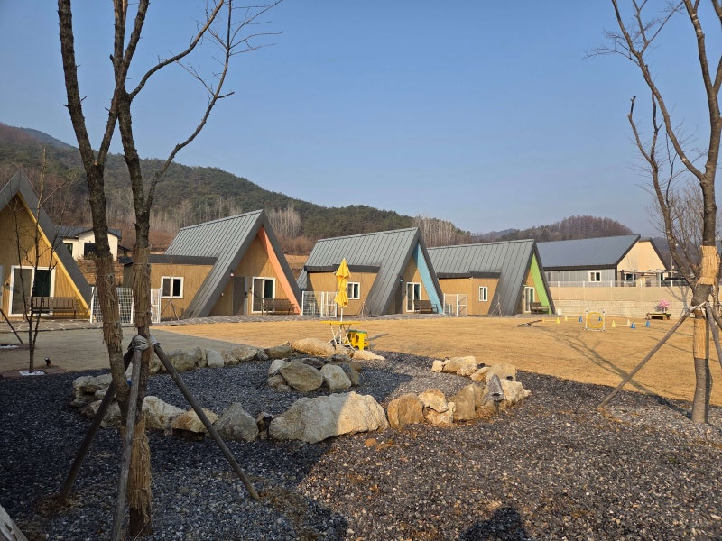 사진 2