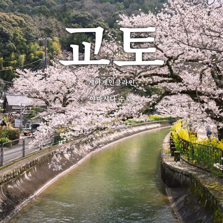  교토 벚꽃여행 (8) - 게아게 인클라인, 야마시나 수로