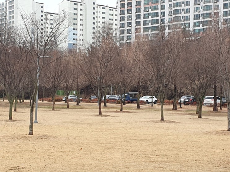  집들이 선물 추천 친구 지인을 위한 선택 물품