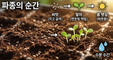  상추 키우기, 심는시기, 물주기 관리 방법!