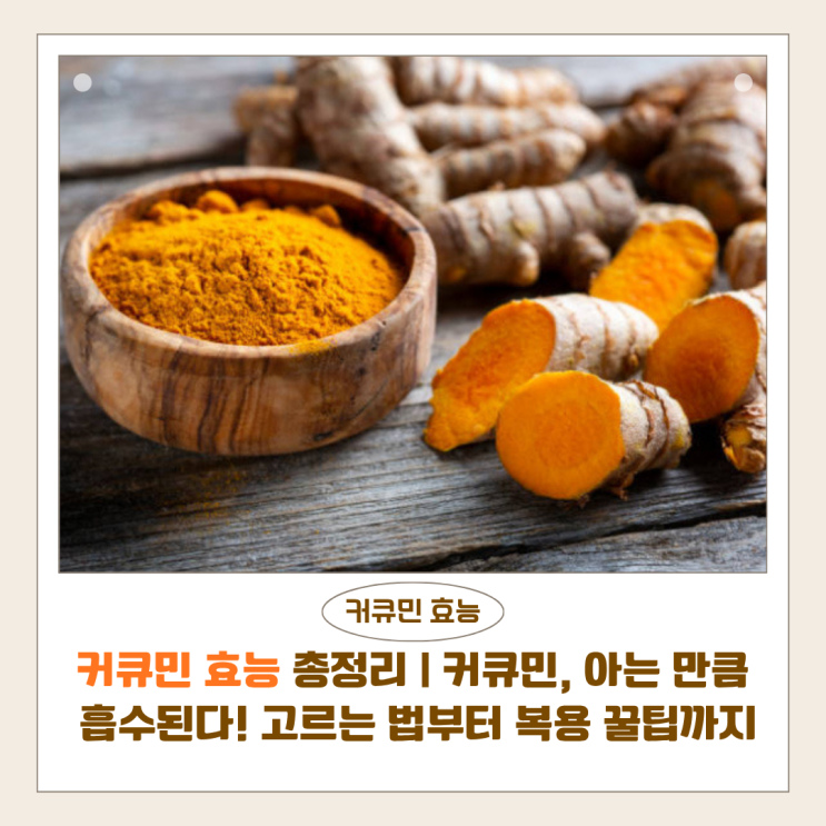  커큐민 효능 총정리 | 흡수율·복용법·선택 기준 정리