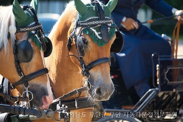 무안자동차운전전문학원 사진 2