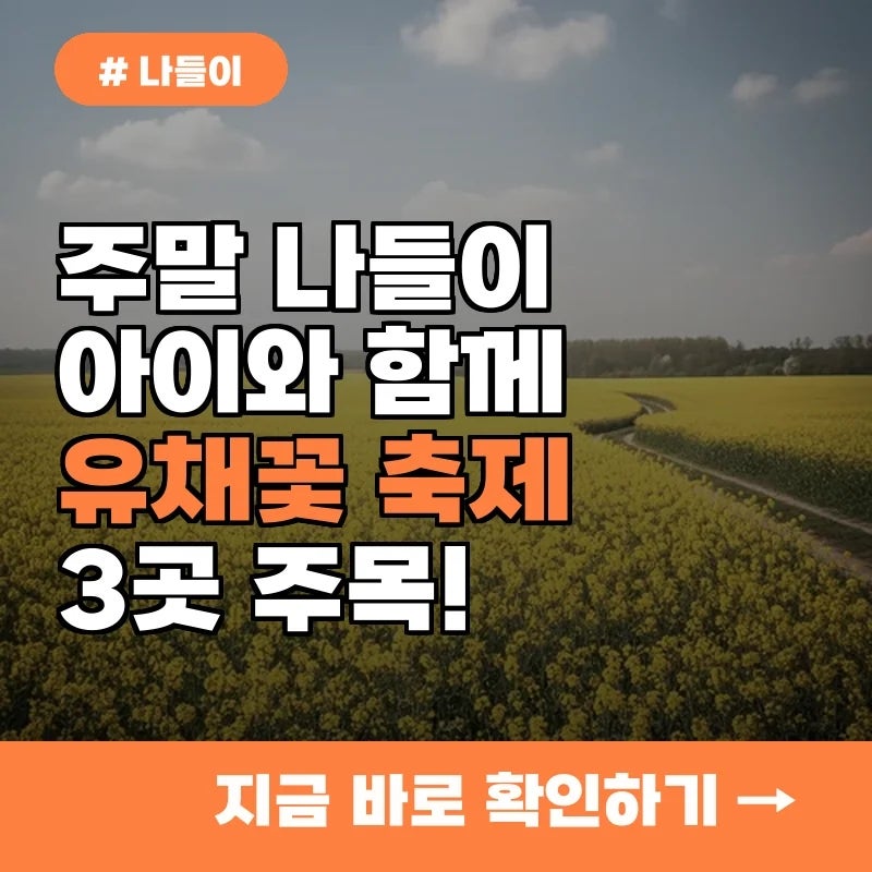 나들 사진 1
