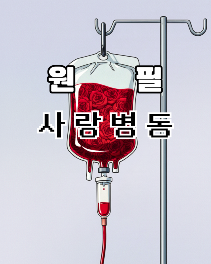 DAY6 원필 사랑병동 가사 뜻 / 신곡 리뷰 / 뮤직비디오