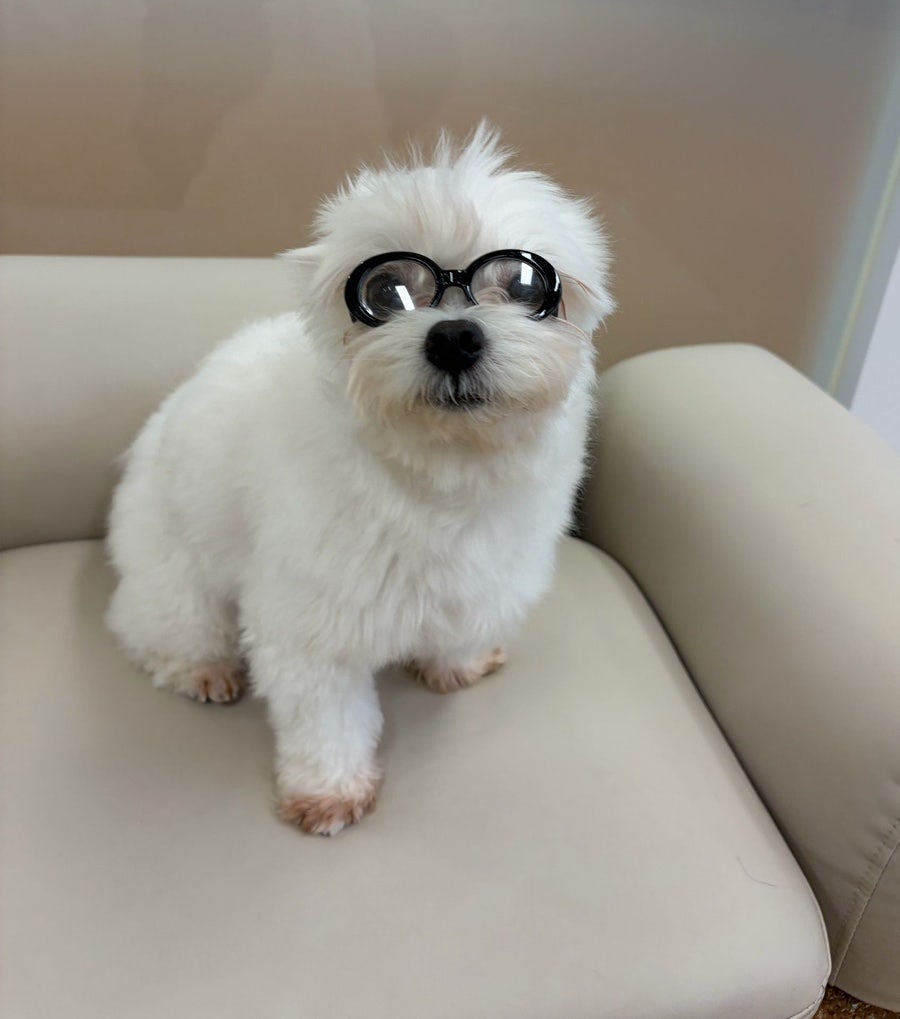 조은동물병원 사진 5