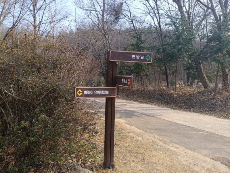 군산 아이랑 가볼만한곳 어린이유아체험숲