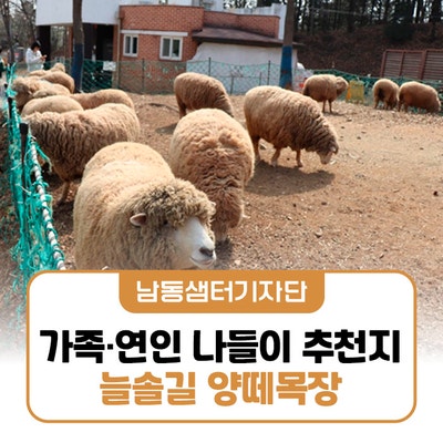 늘솔길 양떼목장, 봄날 가족·연인과 나들이하기 좋은 힐링 명소
