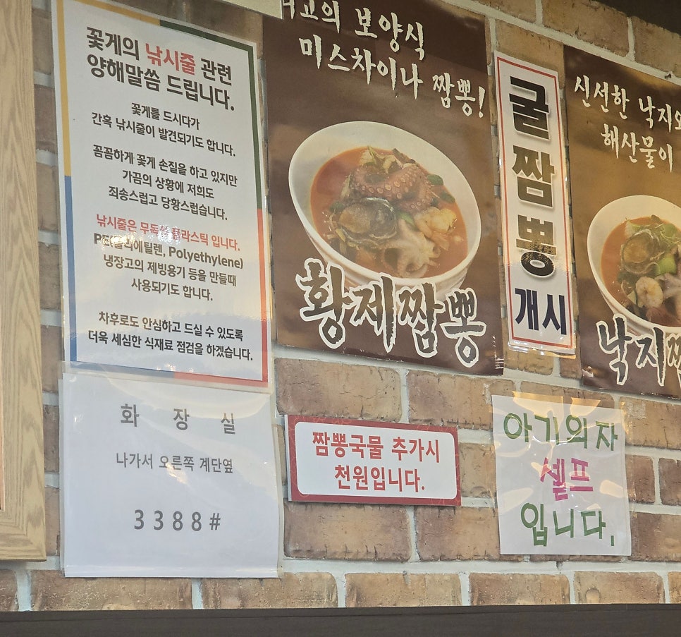 미스차이나 사진 7