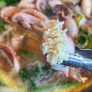 노량진 수산시장 알 쭈꾸미 가격 & 초장집 추천, 실패 없는 제철 맛집 투어(1kg 시세, 도매상회....