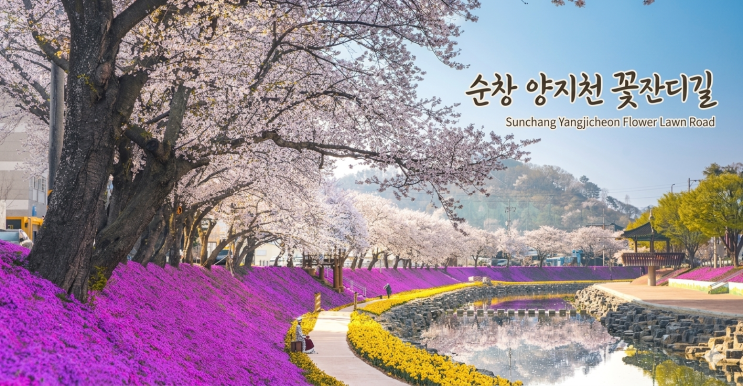  순창 양지천 꽃잔디길, 사진보다 걷는 만족도가 큰 이유