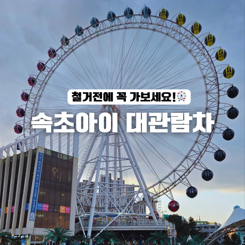 속초아이 대관람차 철거 아이와 평일방문