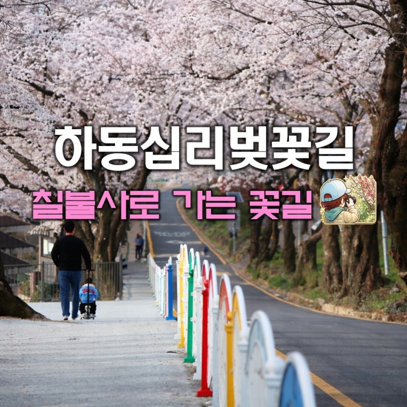 사진 7