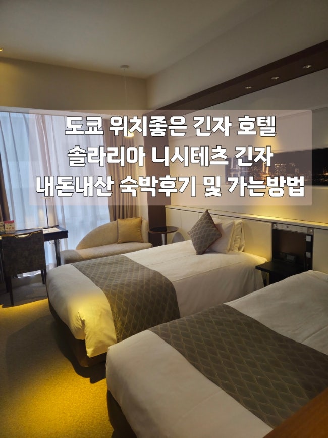  도쿄 긴자 내돈내산 호텔 추천 솔라리아 니시테츠 긴자 가는법 실시간 도쿄 벚꽃개화상황