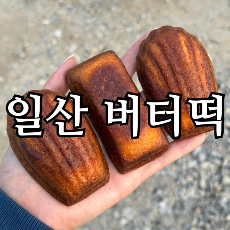  일산 빵집 토모루베이커리 일산점 후기 | 버터떡·찹쌀모카 솔직 리뷰
