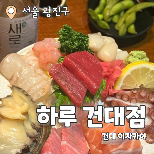  하루 건대점 : 건대 이자카야 사시미 꼬치 맛집 추천 후기