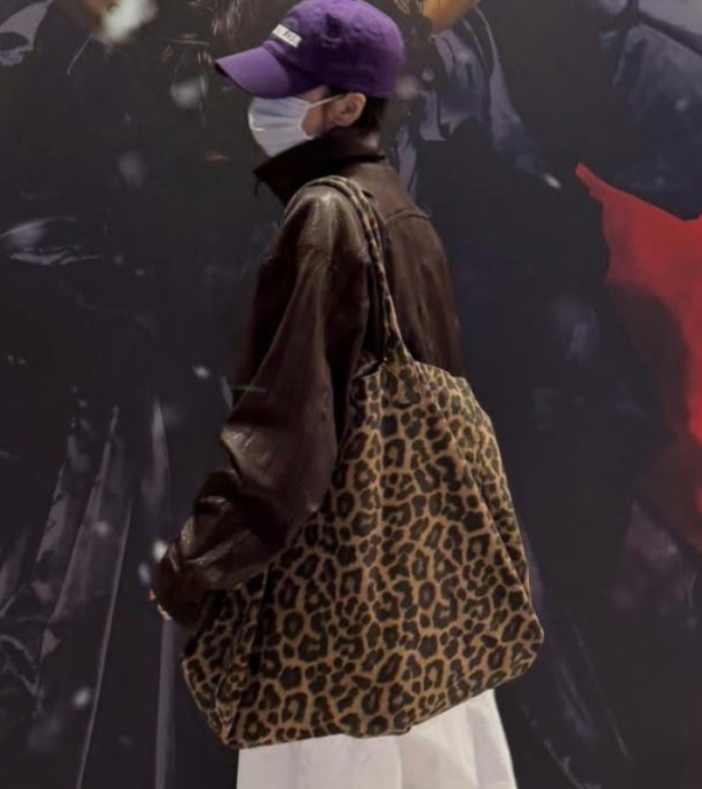 송혜교 10만원대 호피 가방 지금 논란이 되는 이유